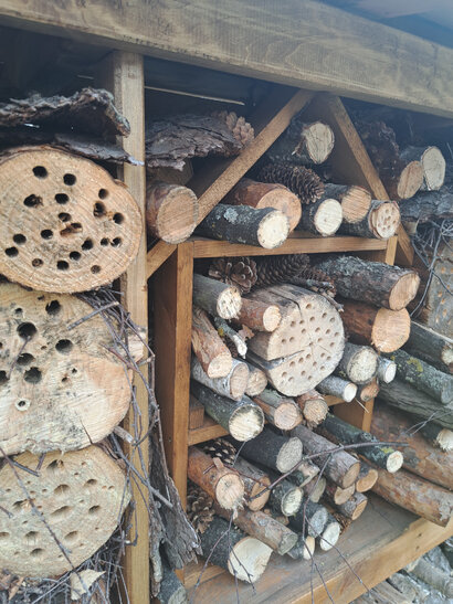 Kde si včielky samotárky hlávku zložia ???