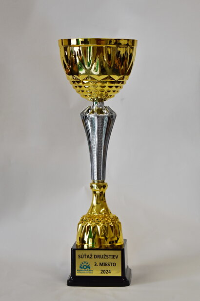 Úspech našich žiakov na Medzinárodnej súťaži odborných vedomostí a praktických zručností