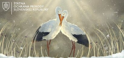 Súťaž - Zimná krajina na pohľad(nicu)