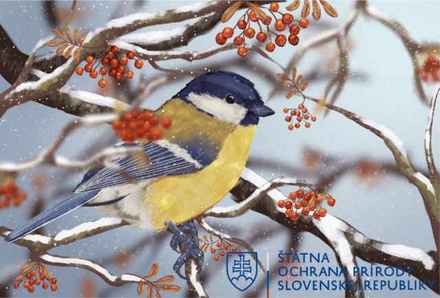 Sophia_Zimanyiova_Zimna_krajina